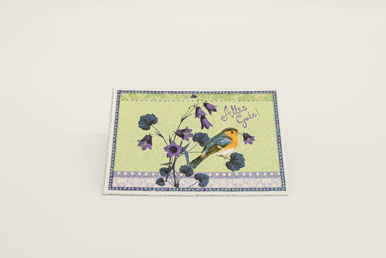 Postkarte Vogel 185