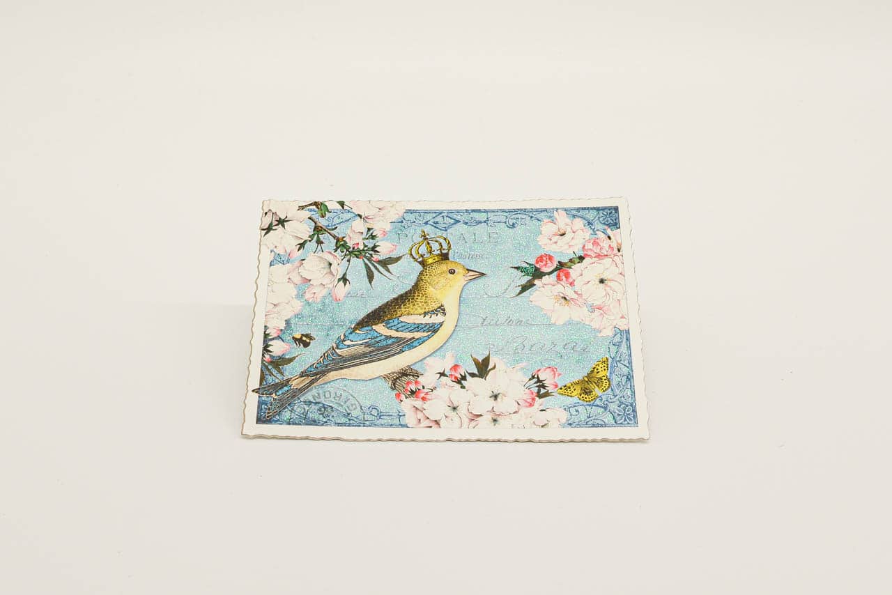 Postkarte Vogel