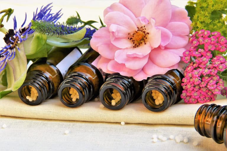 Neuland 1/2024, Kurs Pflanzen und Homöopathie