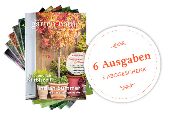 1-Jahres-Abo