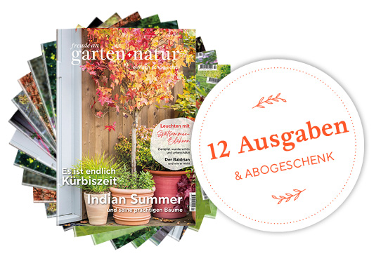 2-Jahres-Abo