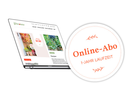 Online-Abo