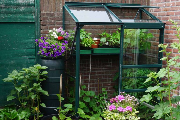 Kleines Gewächshaus im Garten an Hausmauer