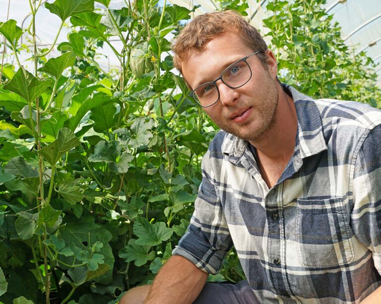 Melonenanbau: Dominik Hummel mit Melonen