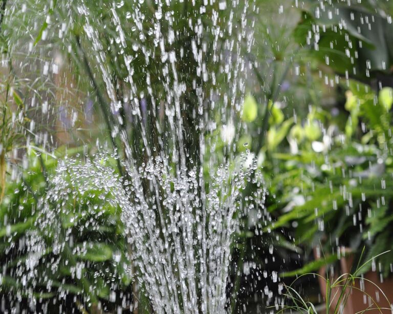 Giessen: Wasser aus Sprenger spritzt im Garten