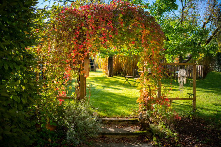 Gartentipp