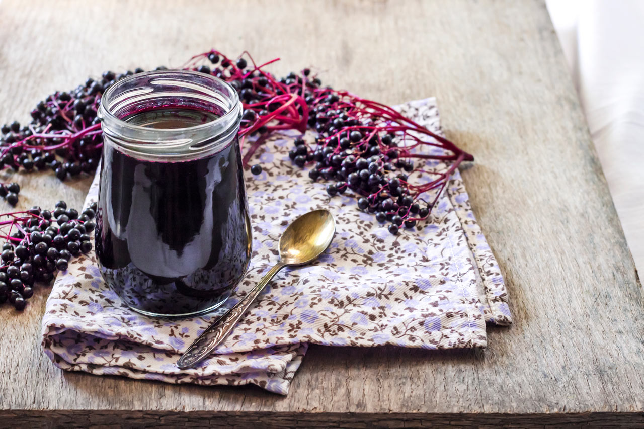 Holunderbeeren verarbeiten · Garten & Natur
