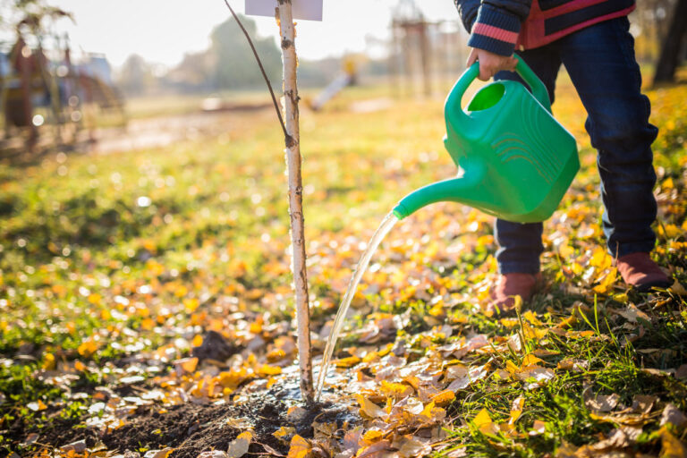 Gartentipp
