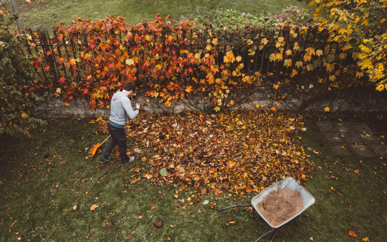 Gartentipp