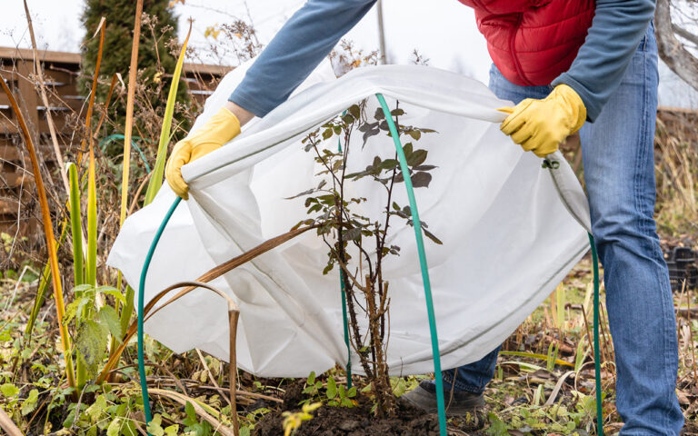 Gartentipp
