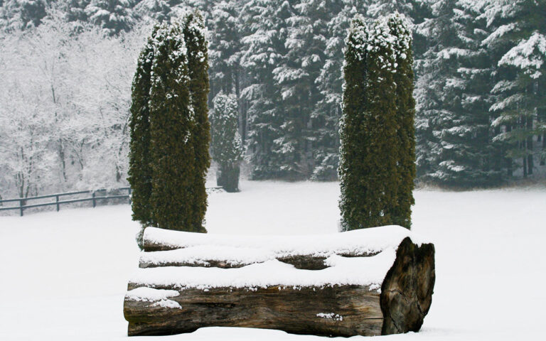 Gartentipp