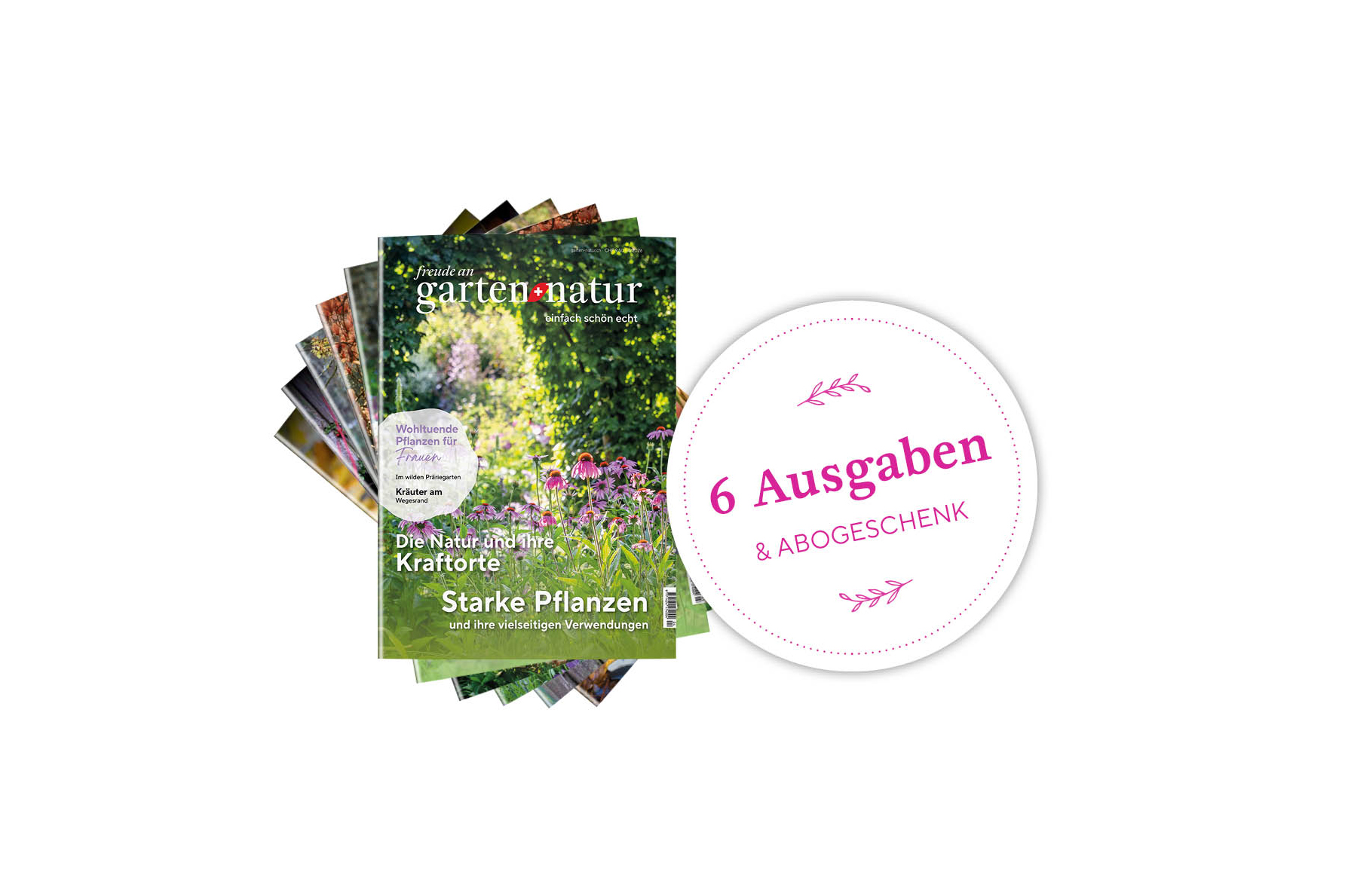 1-Jahres-Abo