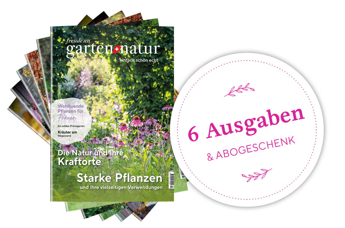 Abo verschenken