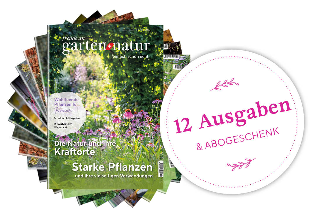 2-Jahres-Abo