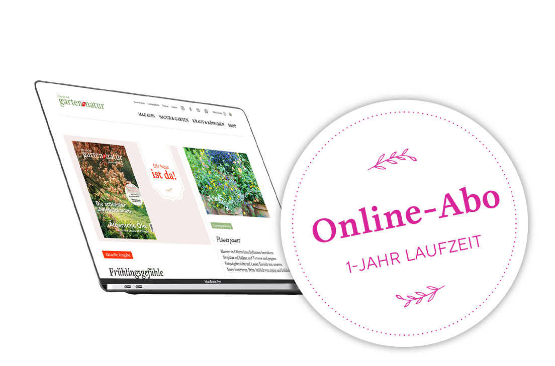 Online-Abo