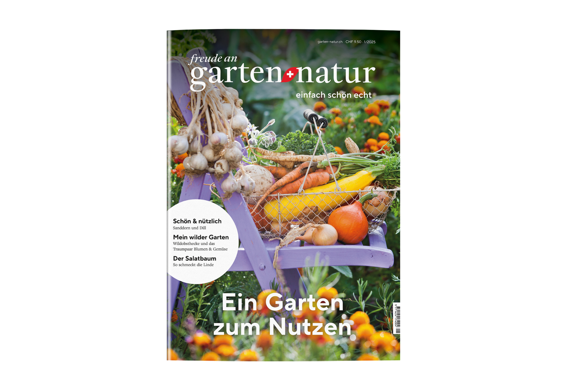 Einzelausgabe 1/2025