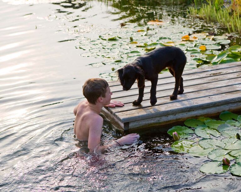 Badeteich: Junge steht im Wasser an einem Steg, auf welchem ein Hund ist.