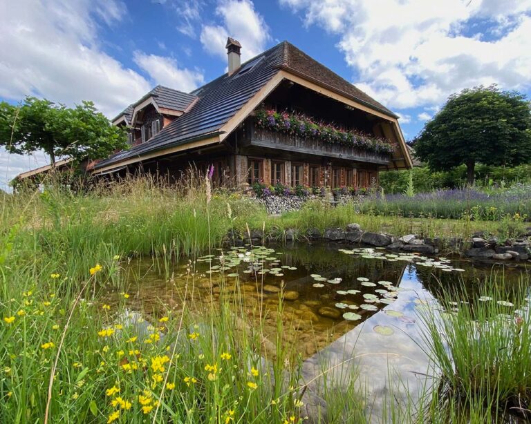 Blick auf Kathrin Bärtschis Haus mit Naturgarten und grossem Teich