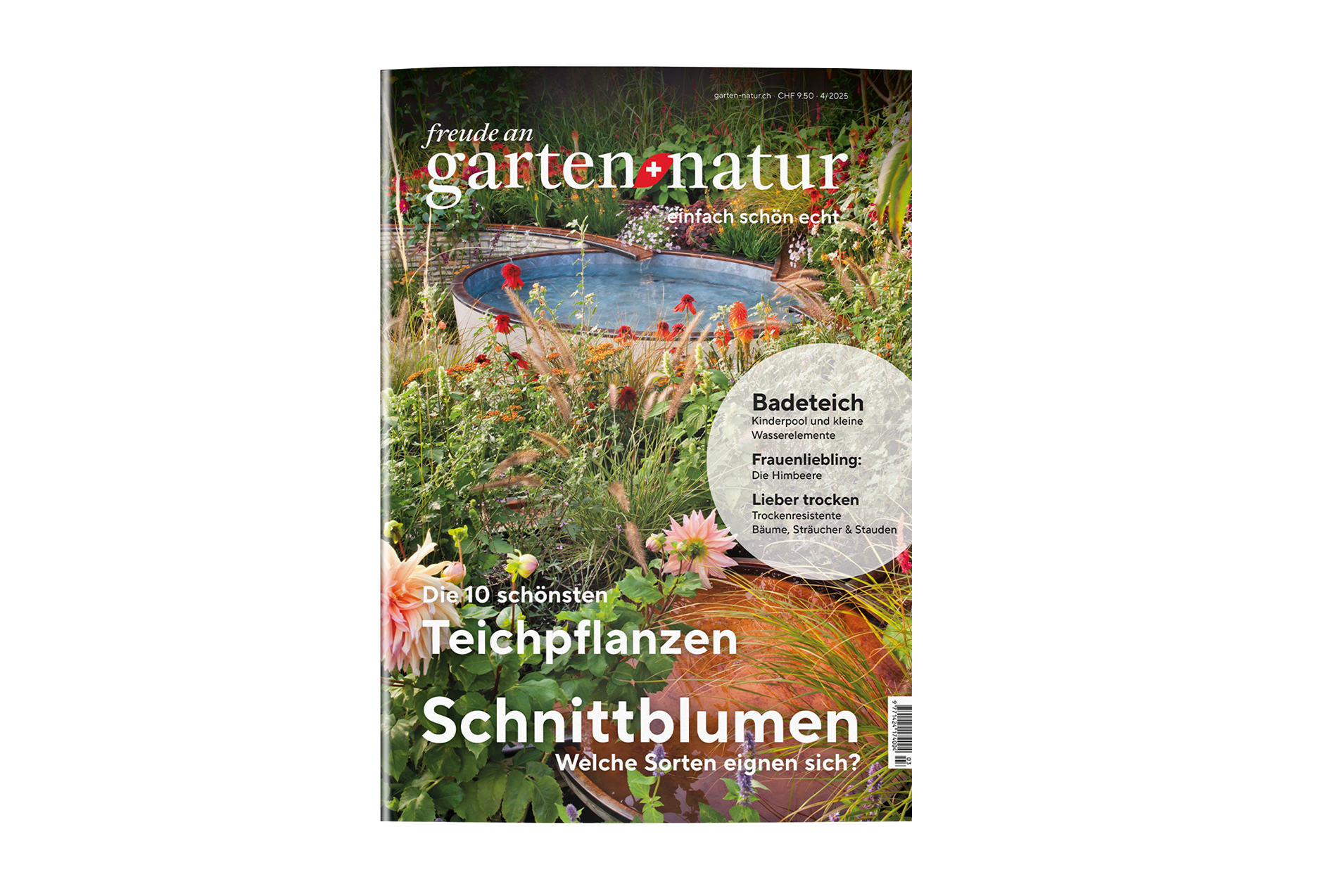 Einzelausgabe 4/2025