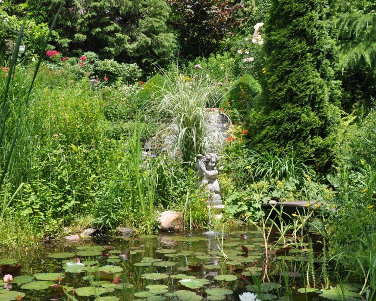 Gartenteich: Naturteich im Garten mit vielen grünen Pflanzen