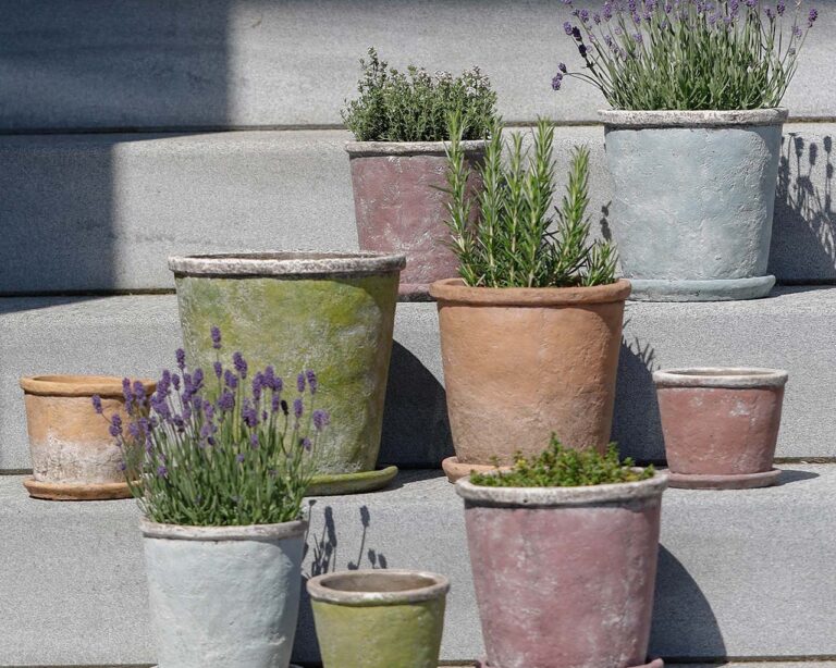 Blumentopf: farbige Blumentöpfe mit Kräutern bepflanzt