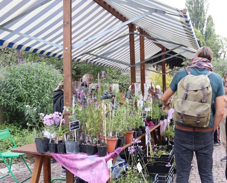 Neuland: Herbstpflanzenmarkt Burgrain
