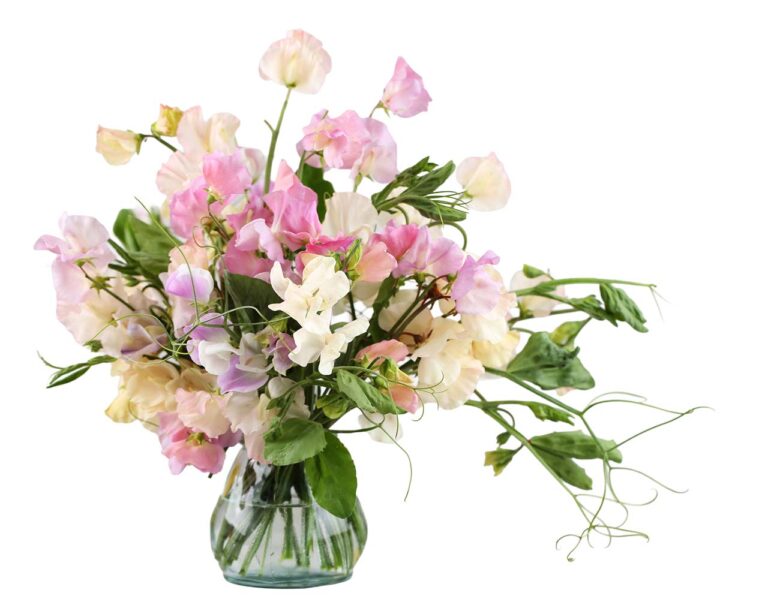 Blumenstrauss mit Pastellfarben