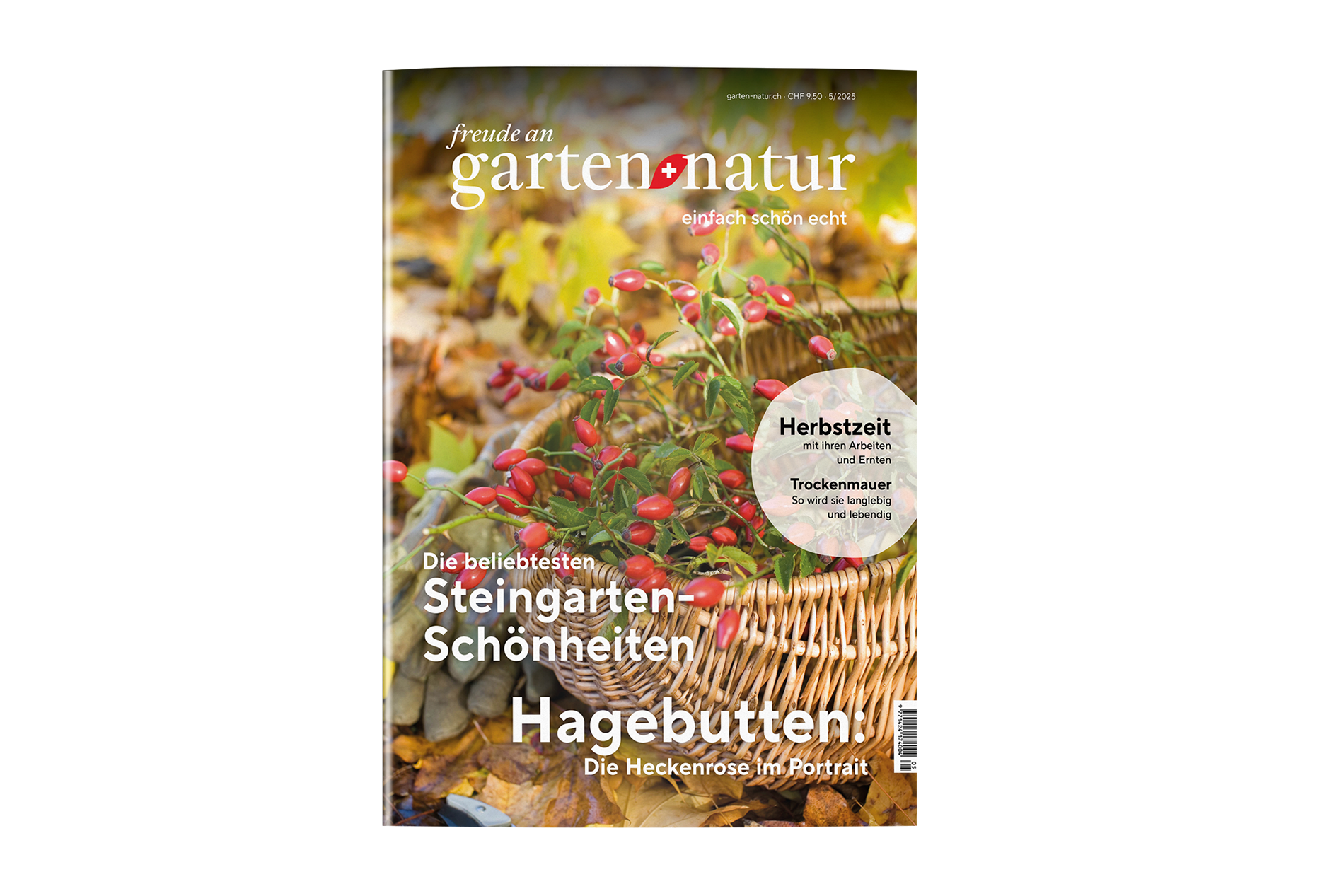 Einzelausgabe 5/2025