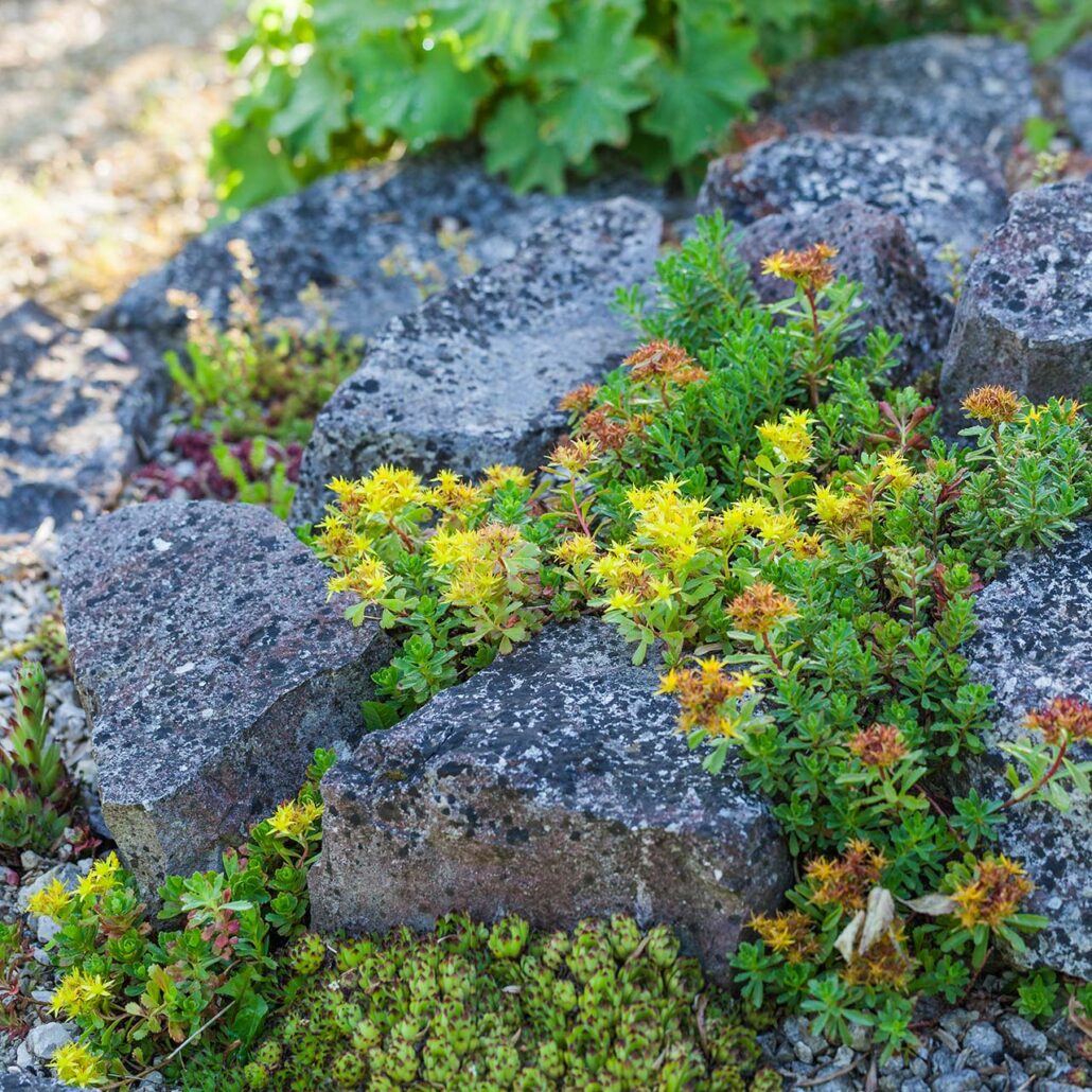 Mini Steingarten