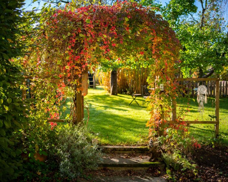 Gartenarbeiten: Herbstblumenbogen