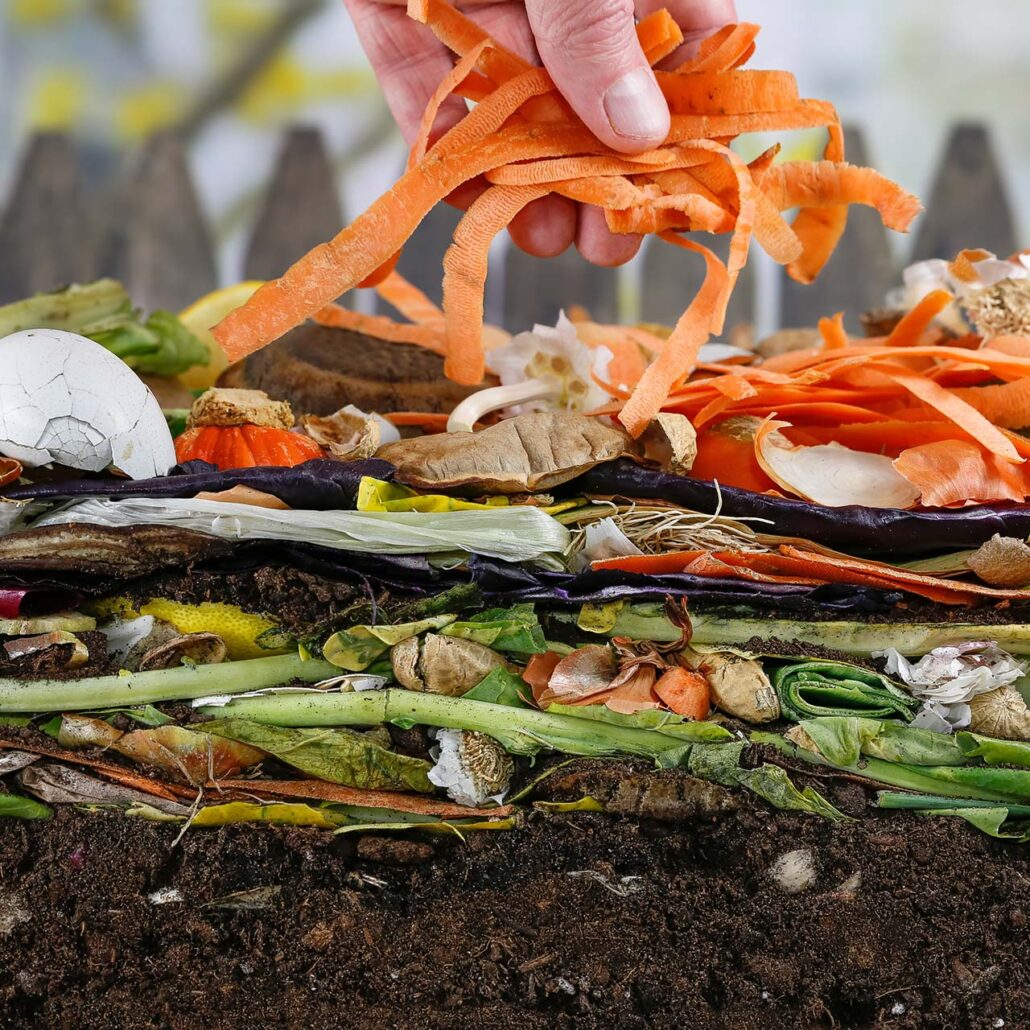 Bodenfruchtbarkeit: Nahaufnahme Kompost aus Gemüseresten