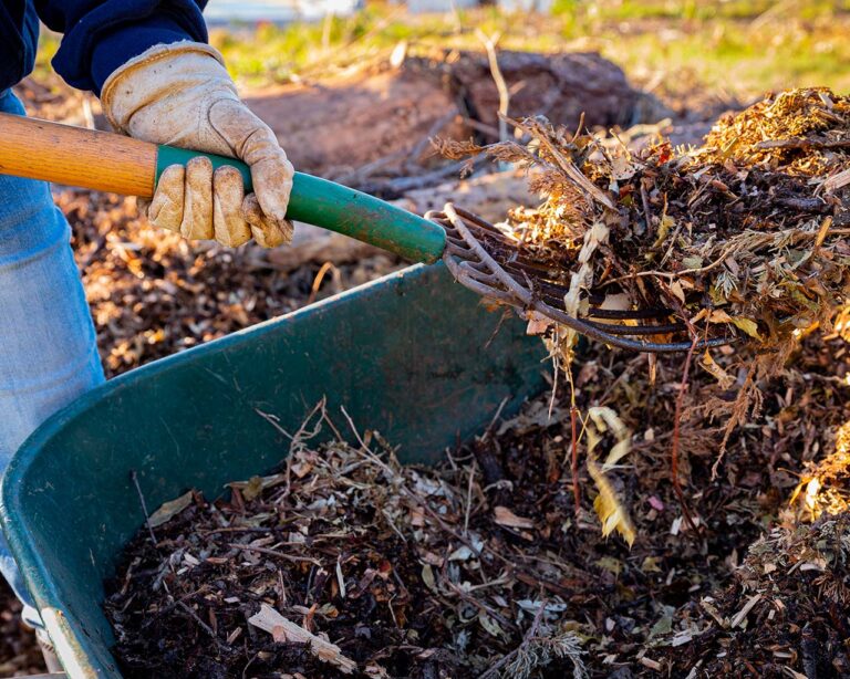 Bodenfruchtbarkeit: Garten mit Gartengabel umschichten