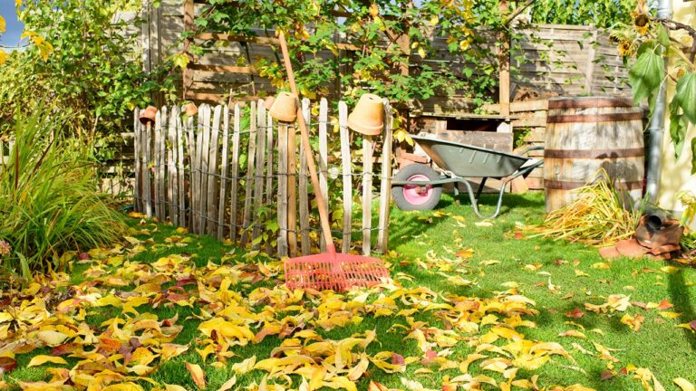 Gartenarbeiten: Laub mit Rechen