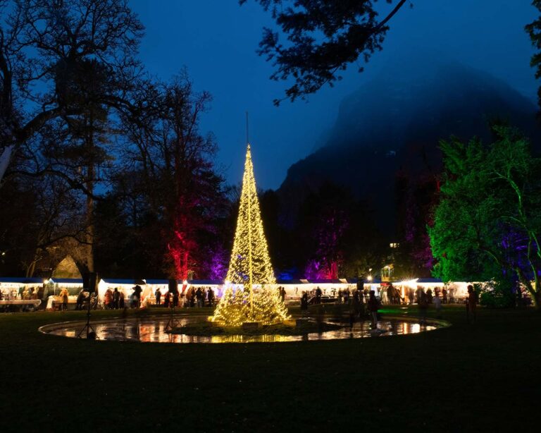 Weihnachtsmarkt Volksgarten