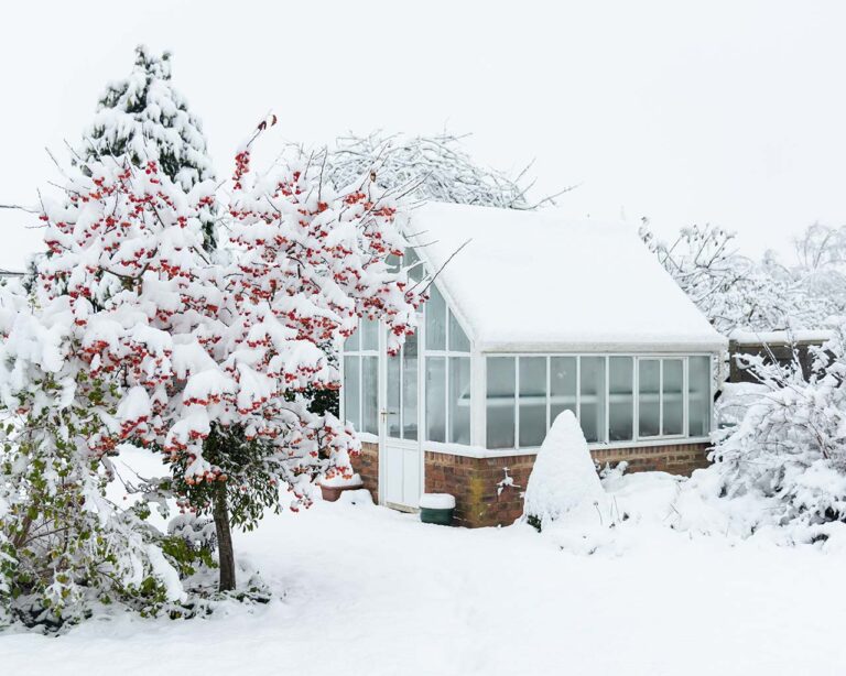 Triebhaus im Schnee